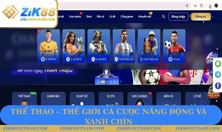 Sân chơi thể thao được nhiều người yêu thích Sân chơi thể thao được nhiều người yêu thích