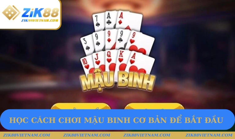Học cách chơi Mậu Binh cơ bản để bắt đầu Học cách chơi Mậu Binh cơ bản để bắt đầu