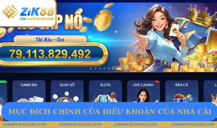 Mục đích chính của điều khoản của nhà cái